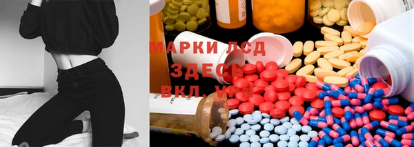 ECSTASY Михайлов