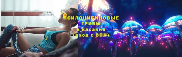 PSILOCYBIN Михайловка
