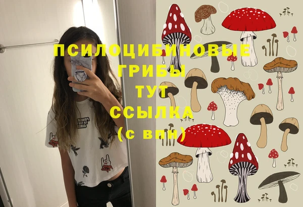 PSILOCYBIN Михайловка