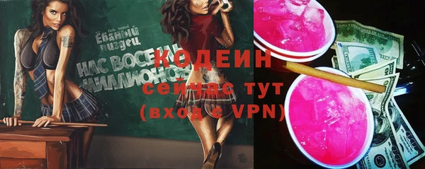 дурь Михайловск