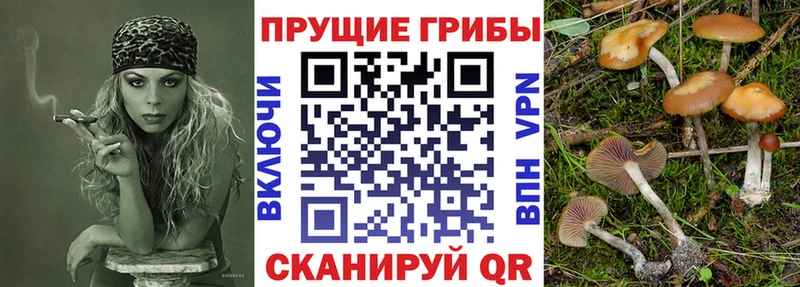 Псилоцибиновые грибы мицелий  Купить где  Сретенск 